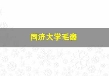 同济大学毛鑫