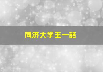 同济大学王一喆