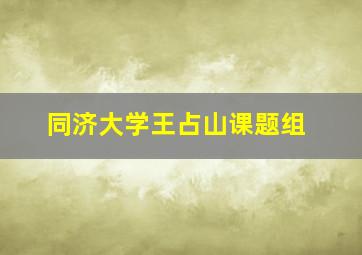 同济大学王占山课题组