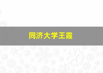 同济大学王霞