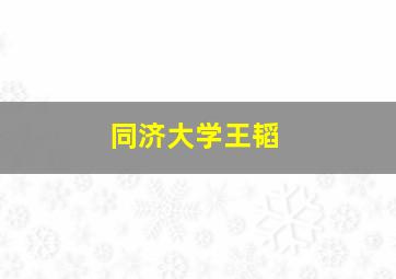 同济大学王韬