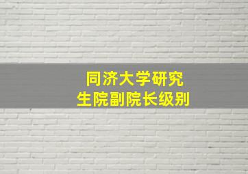 同济大学研究生院副院长级别