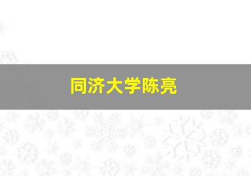 同济大学陈亮