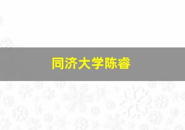 同济大学陈睿