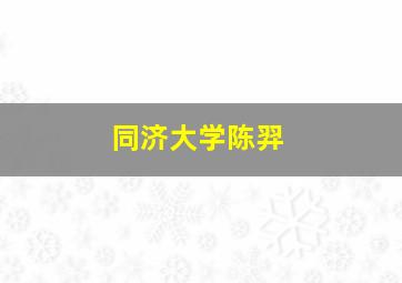 同济大学陈羿