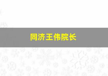 同济王伟院长