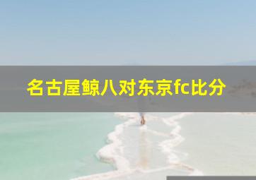 名古屋鲸八对东京fc比分