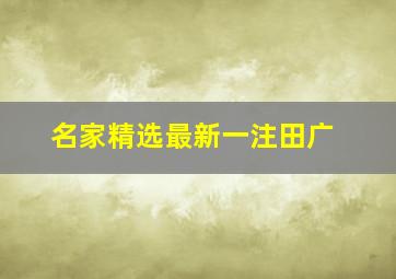 名家精选最新一注田广