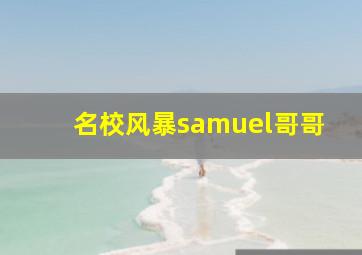 名校风暴samuel哥哥