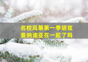 名校风暴第一季胡兹曼纳迪亚在一起了吗