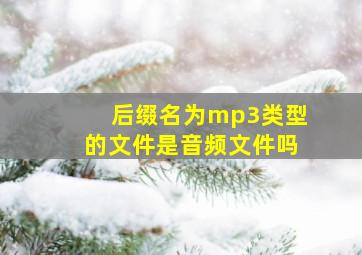 后缀名为mp3类型的文件是音频文件吗