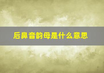 后鼻音韵母是什么意思