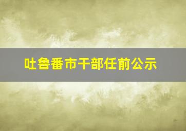 吐鲁番市干部任前公示