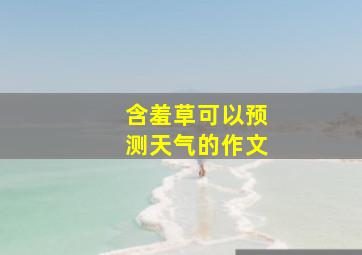 含羞草可以预测天气的作文