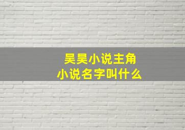 吴昊小说主角小说名字叫什么