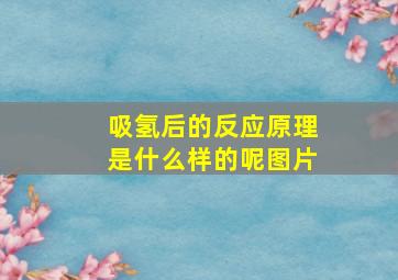 吸氢后的反应原理是什么样的呢图片