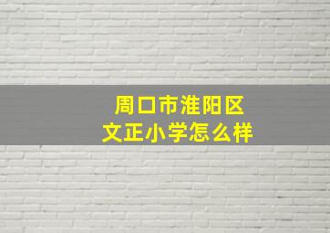 周口市淮阳区文正小学怎么样