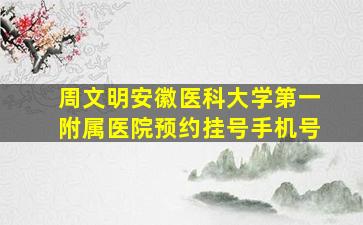 周文明安徽医科大学第一附属医院预约挂号手机号