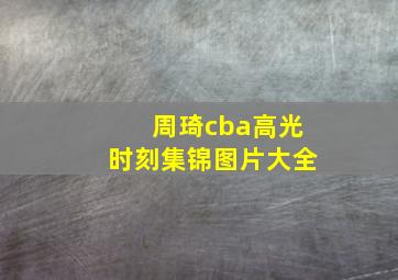 周琦cba高光时刻集锦图片大全