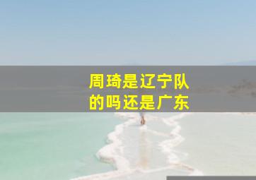 周琦是辽宁队的吗还是广东