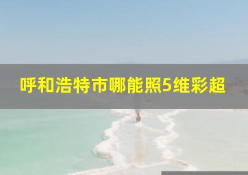 呼和浩特市哪能照5维彩超