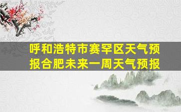 呼和浩特市赛罕区天气预报合肥未来一周天气预报