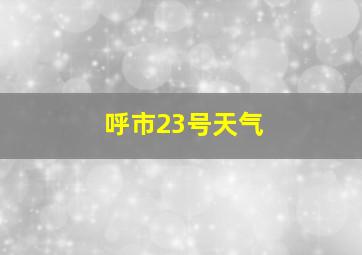 呼市23号天气