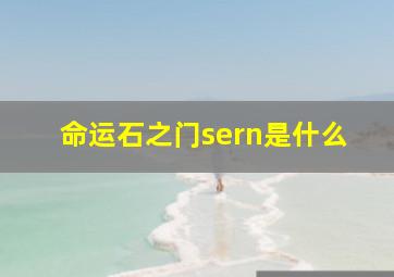 命运石之门sern是什么