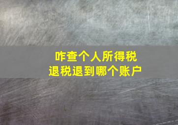 咋查个人所得税退税退到哪个账户