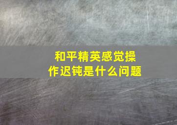 和平精英感觉操作迟钝是什么问题