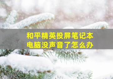 和平精英投屏笔记本电脑没声音了怎么办