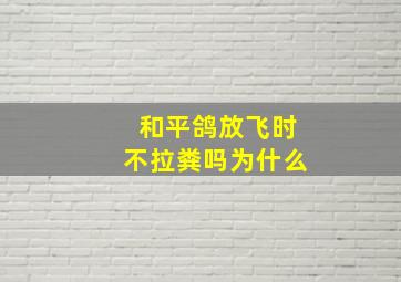 和平鸽放飞时不拉粪吗为什么