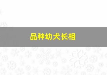 品种幼犬长相