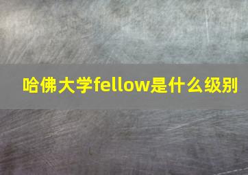 哈佛大学fellow是什么级别