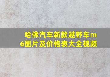 哈佛汽车新款越野车m6图片及价格表大全视频