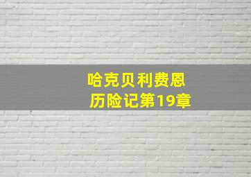 哈克贝利费恩历险记第19章