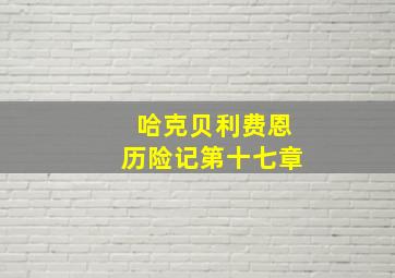 哈克贝利费恩历险记第十七章