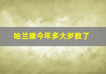 哈兰德今年多大岁数了