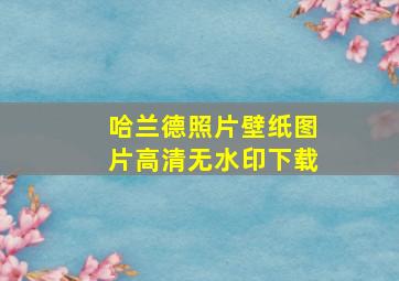 哈兰德照片壁纸图片高清无水印下载