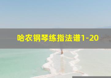 哈农钢琴练指法谱1-20