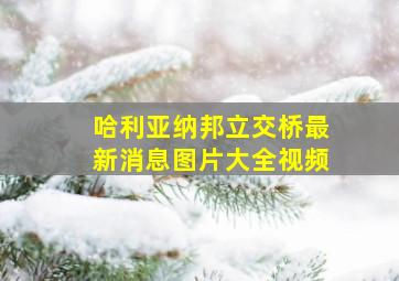 哈利亚纳邦立交桥最新消息图片大全视频