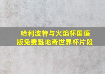 哈利波特与火焰杯国语版免费魁地奇世界杯片段