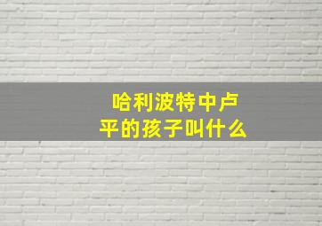 哈利波特中卢平的孩子叫什么