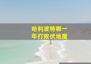 哈利波特哪一年打败伏地魔