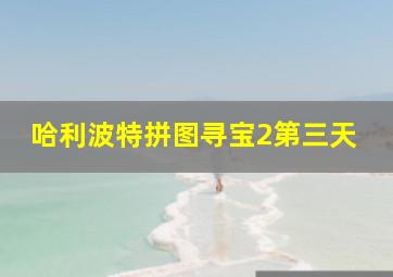 哈利波特拼图寻宝2第三天