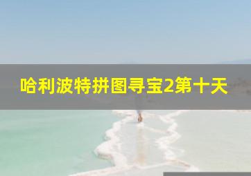 哈利波特拼图寻宝2第十天