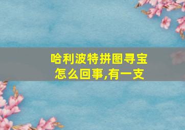 哈利波特拼图寻宝怎么回事,有一支