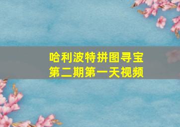 哈利波特拼图寻宝第二期第一天视频