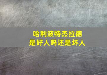 哈利波特杰拉德是好人吗还是坏人