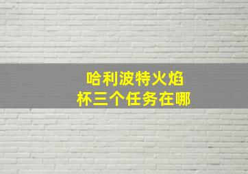 哈利波特火焰杯三个任务在哪